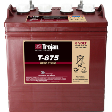 Аккумуляторная батарея Trojan 8в 170 Ач T-875