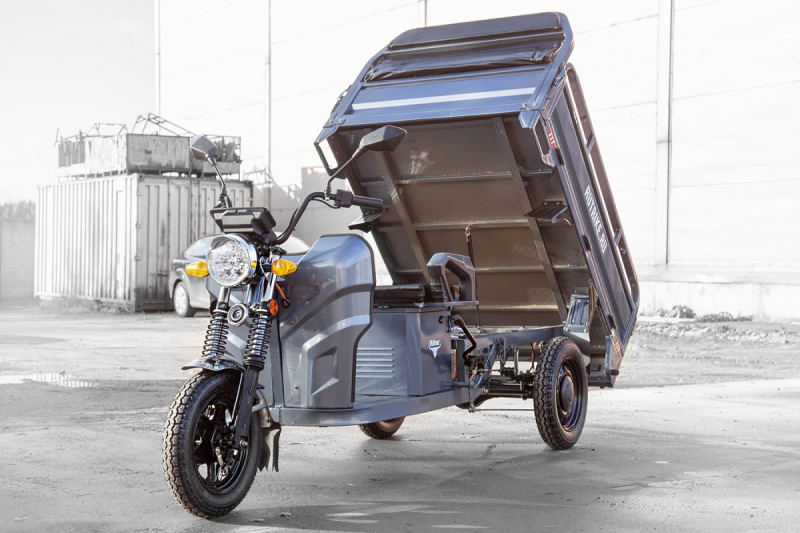 Грузовой электротрицикл Мастер RUTRIKE 024452-2793