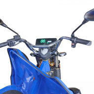 Грузовой электрический трицикл RUTRIKE 024732-2798